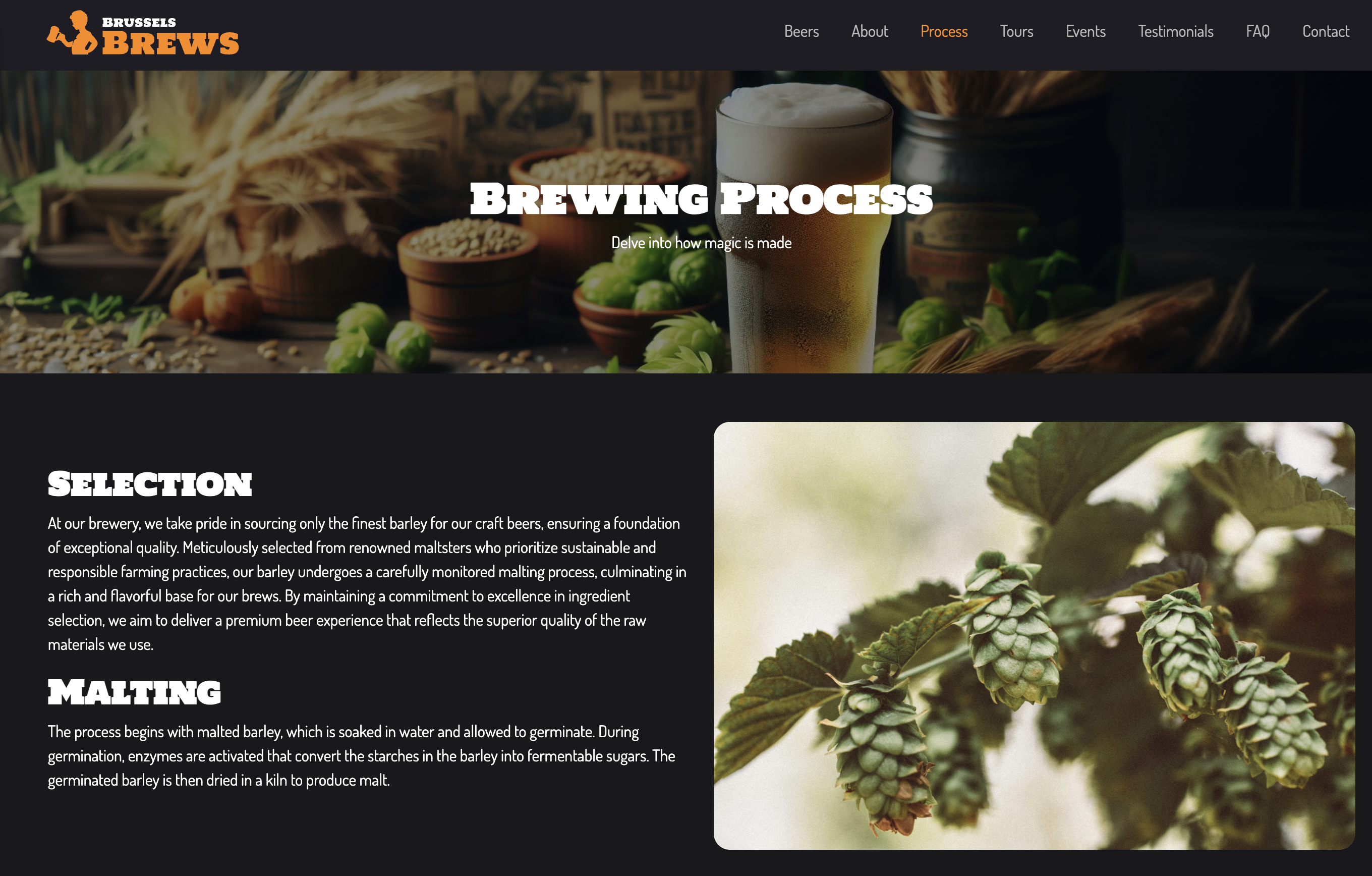Brussels Brews